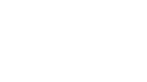 busch best white logo