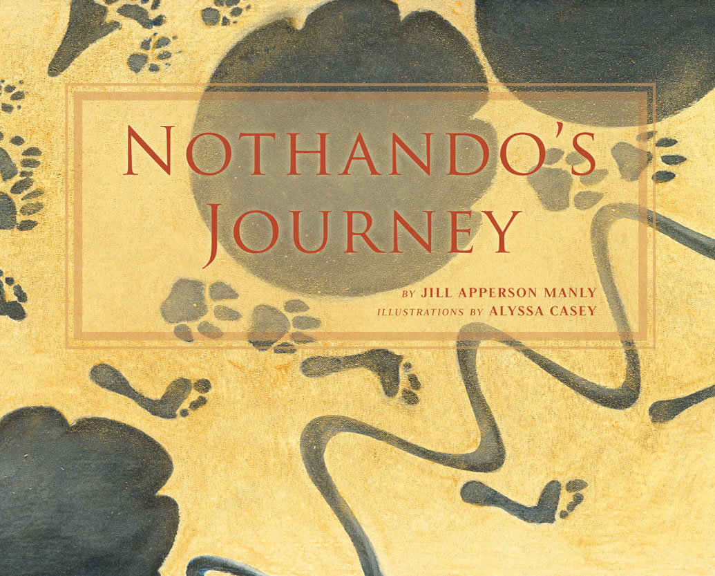 Nothando's journey cover