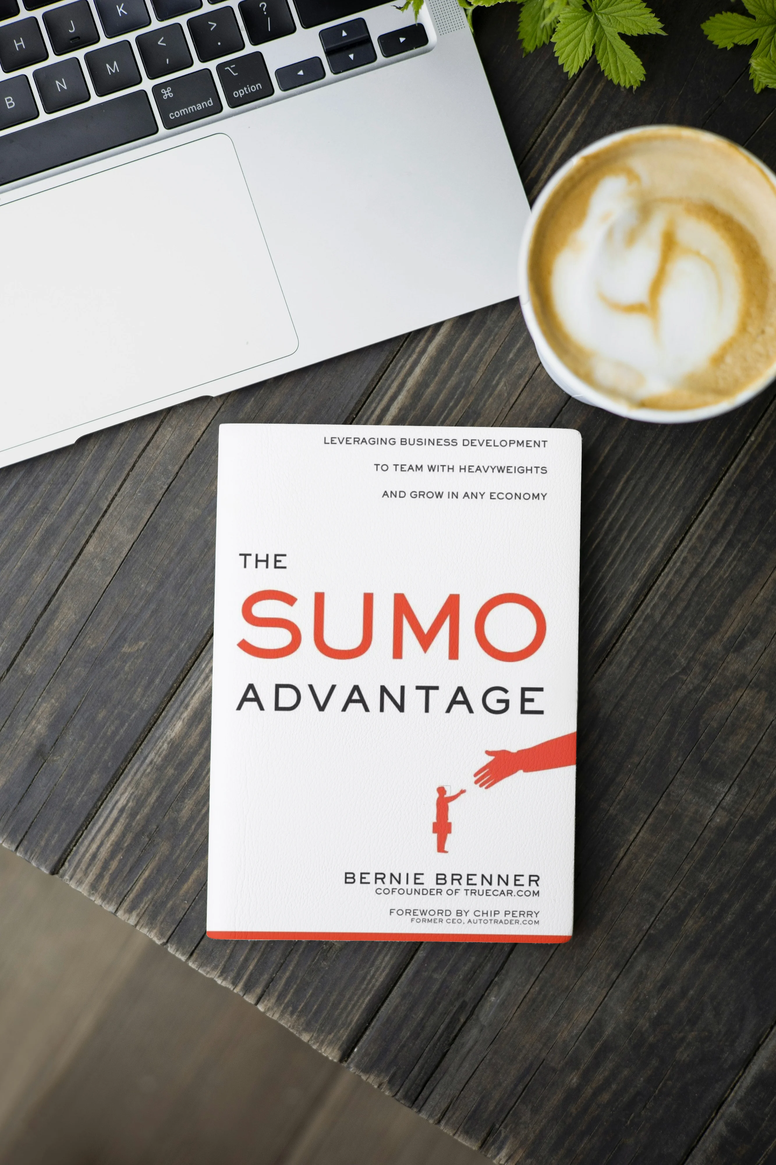 The cover of the business book, Sumo Advantage, by Bernie Brenner