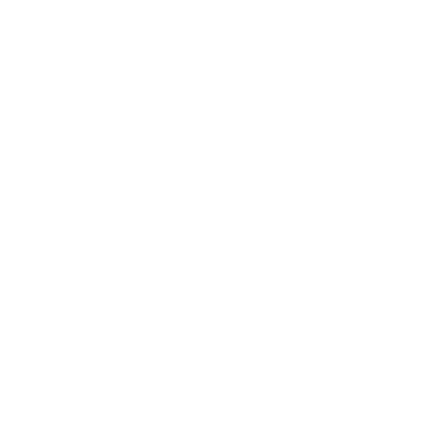 Camp Newaygo Logo
